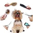 Pet Product